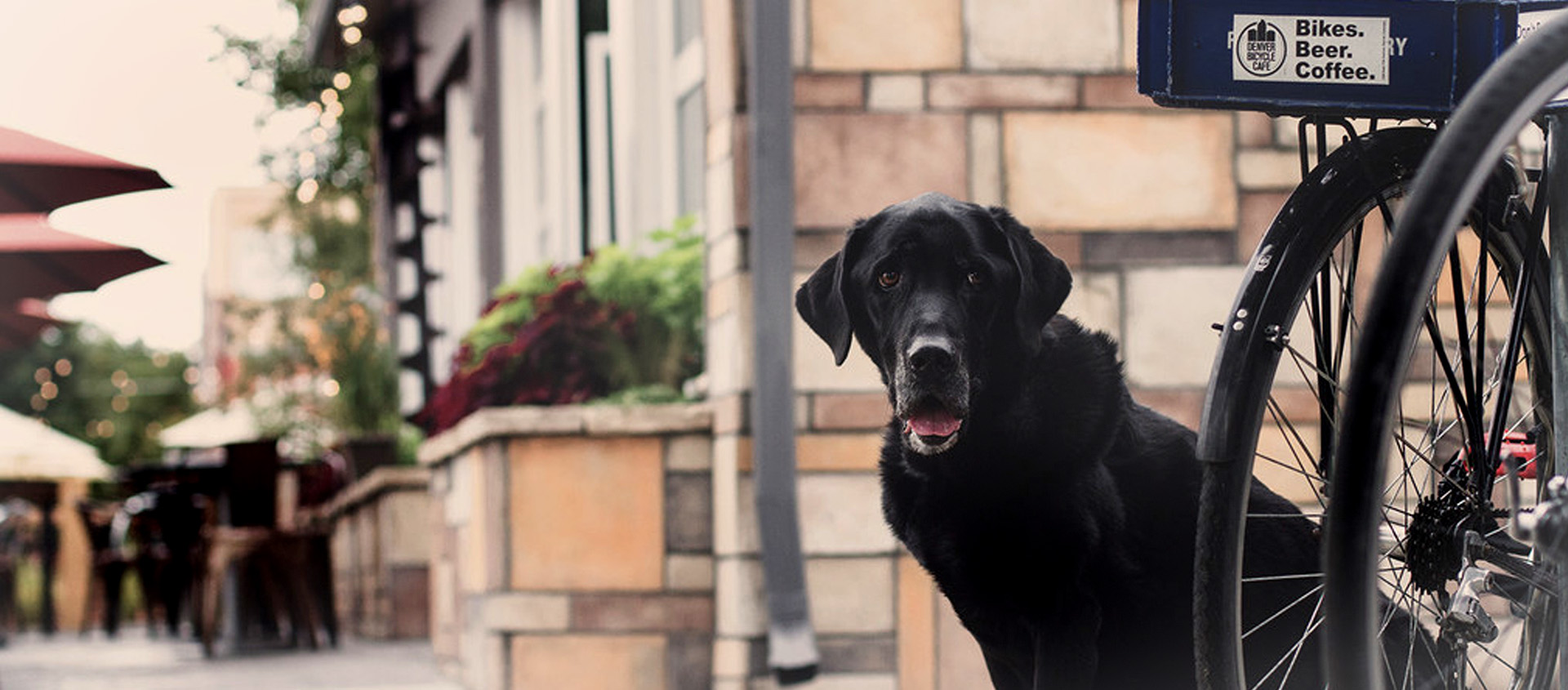 home_exposure_portfolio_list_5